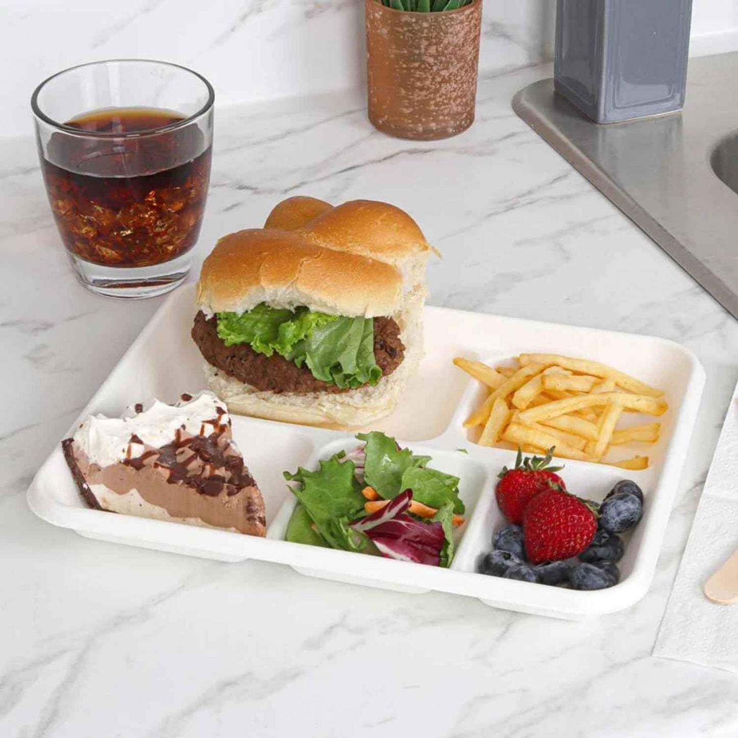 Eco-Friendly Compartment Plates