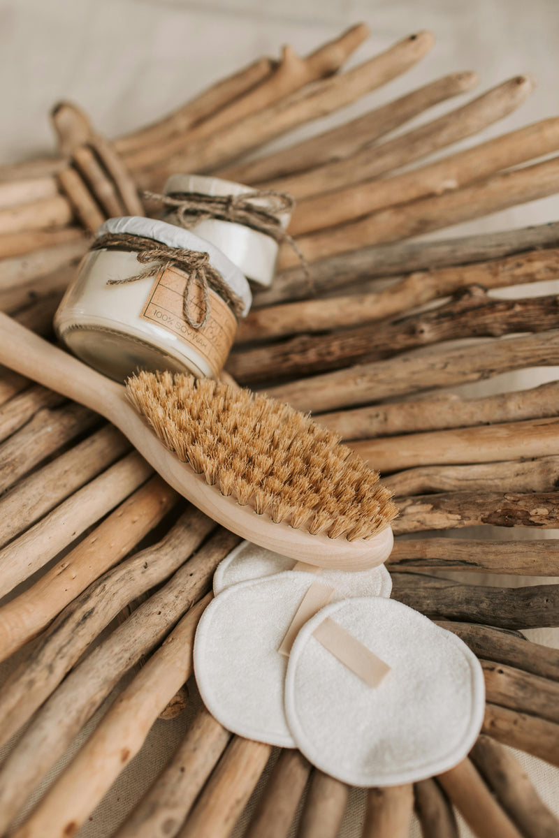 Body brush with natural bristles and wooden handle on a background of driftwood.